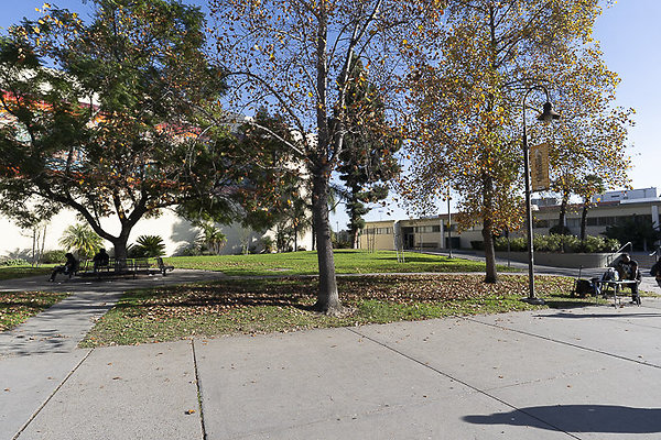 CAL STATE LA-76 CAL STATE LA-76