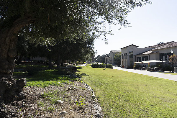 OCCIDENTAL COLLEGE-170 OCCIDENTAL COLLEGE-170