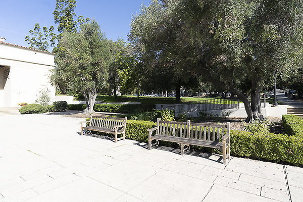 OCCIDENTAL COLLEGE-163 OCCIDENTAL COLLEGE-163