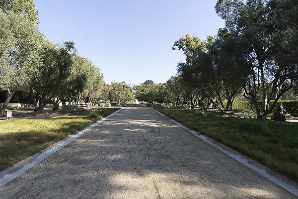 OCCIDENTAL COLLEGE-5