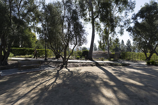 OCCIDENTAL COLLEGE-16