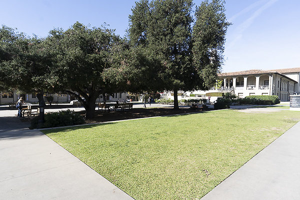 OCCIDENTAL COLLEGE-55