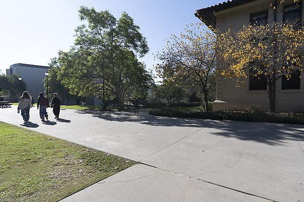 OCCIDENTAL COLLEGE-42