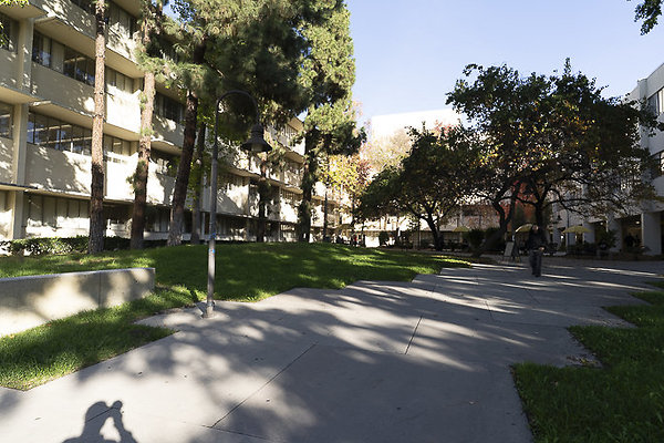 CAL STATE LA-164 CAL STATE LA-164