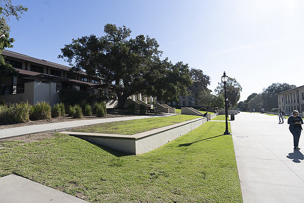 OCCIDENTAL COLLEGE-175 OCCIDENTAL COLLEGE-175