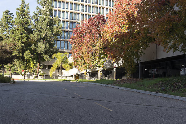 CAL STATE LA-302 CAL STATE LA-302