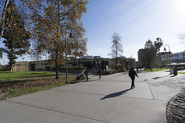 CAL STATE LA-78 CAL STATE LA-78