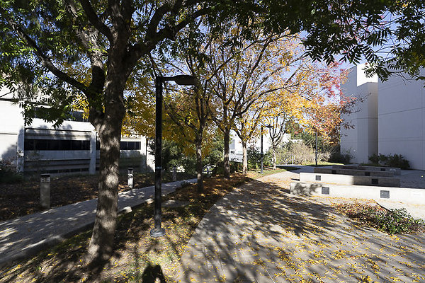 COLLEGE OF THE CANYONS-190 COLLEGE OF THE CANYONS-190