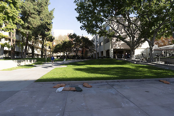 CAL STATE LA-158 CAL STATE LA-158