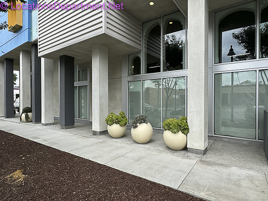 Loft 466-56 Loft 466-56
