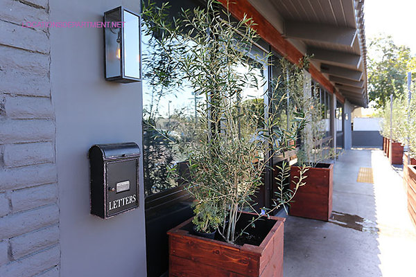 Cafe Restaurant 1712extension 019