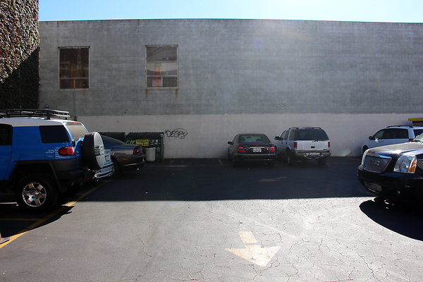 IMG 3686 IMG 3686