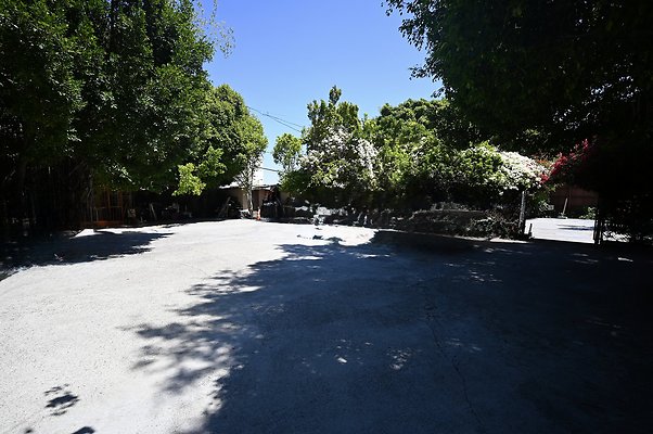 DSC 2779