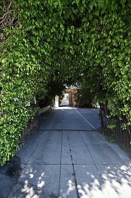 DSC 2785