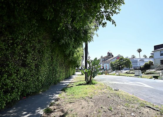 DSC 2791