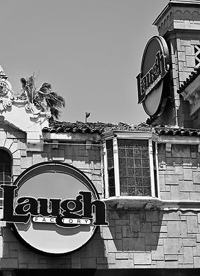 DSC 2603 DSC 2603