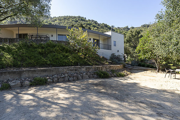 Mid Century 1956-40