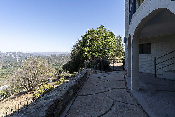 Mid Century 1956-37