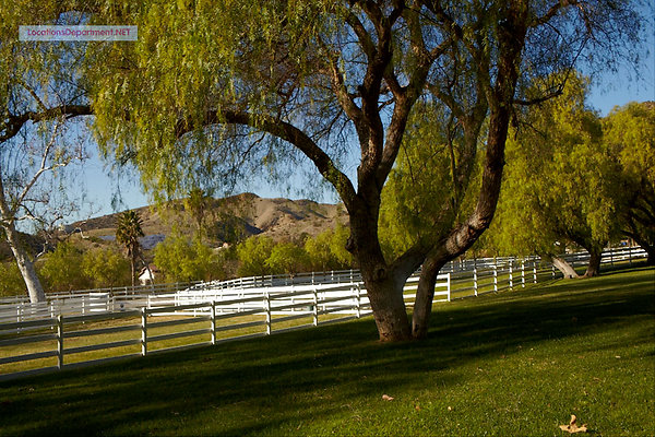 LocationsDepartment.Net Ranch 2011 097
