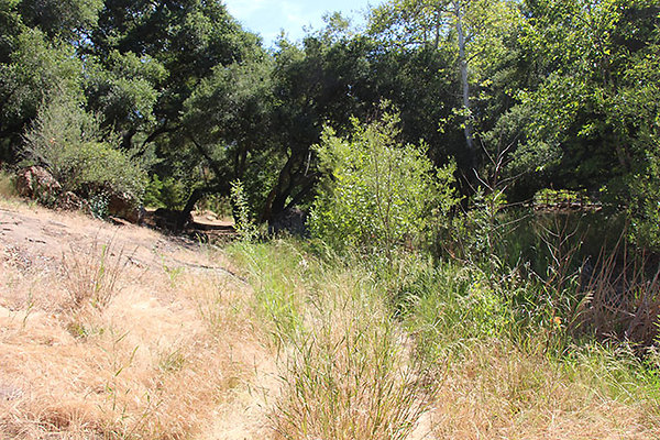 Along Creek to Main Cabin extension 017