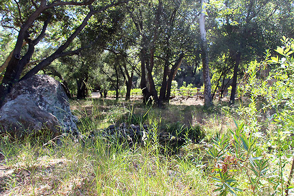 Along Creek to Main Cabin extension 023