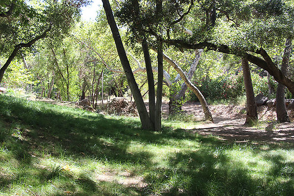 Along Creek to Main Cabin extension 053