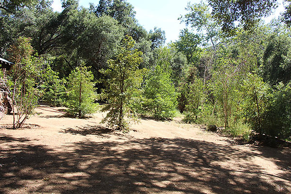 Along Creek to Main Cabin extension 040