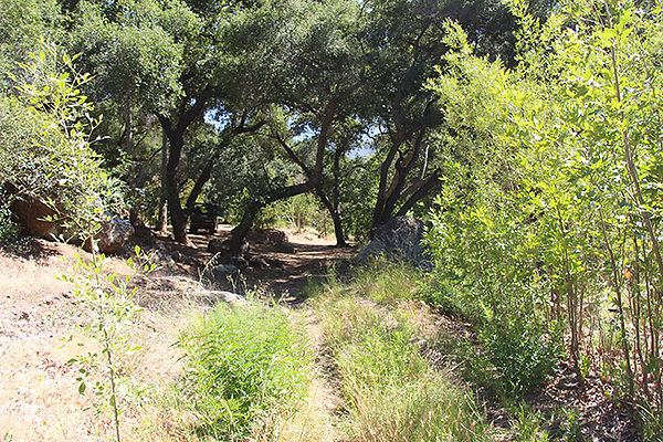 Along Creek to Main Cabin extension 021