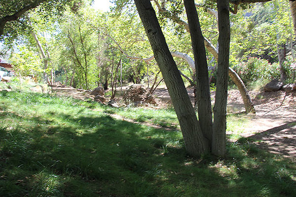 Along Creek to Main Cabin extension 055