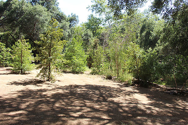 Along Creek to Main Cabin extension 041