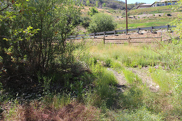 Along Creek to Main Cabin extension 005