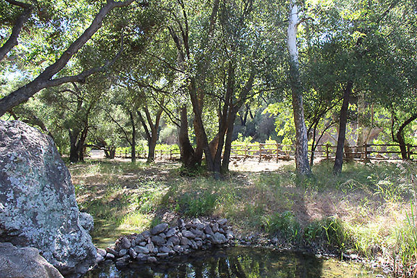 Along Creek to Main Cabin extension 027