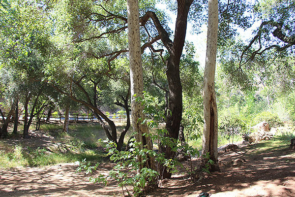 Along Creek to Main Cabin extension 044