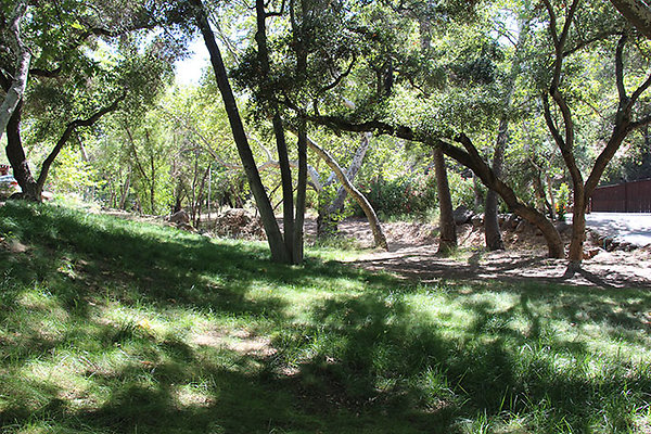 Along Creek to Main Cabin extension 052