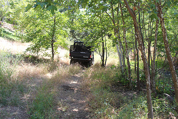 Along Creek to Main Cabin extension 004