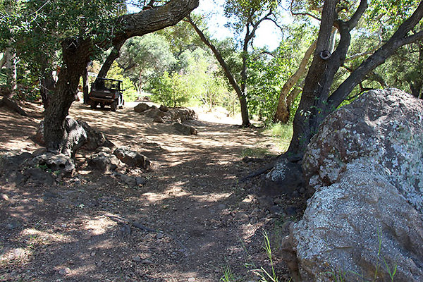 Along Creek to Main Cabin extension 029