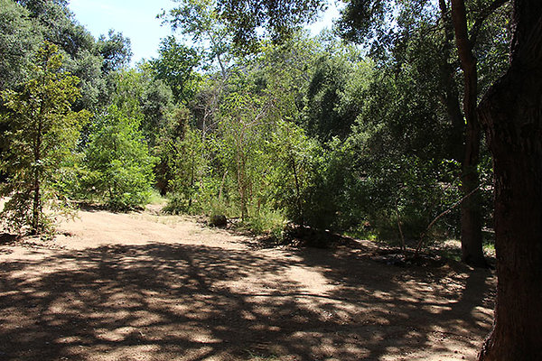 Along Creek to Main Cabin extension 042