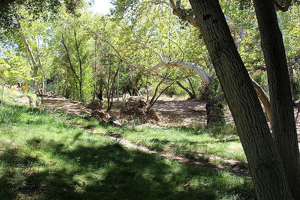 Along Creek to Main Cabin extension 056