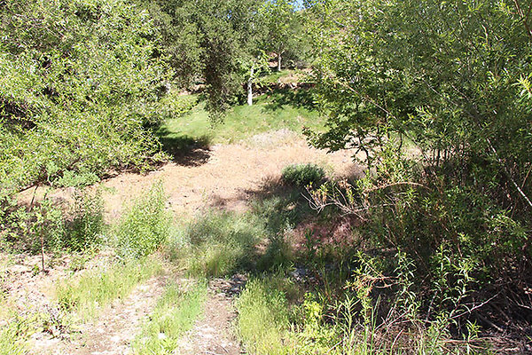 Along Creek to Main Cabin extension 008