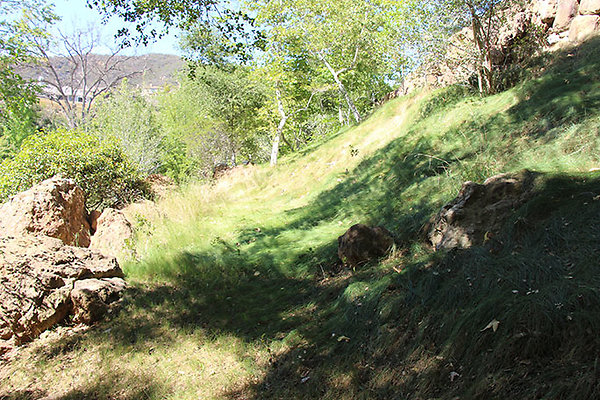 Along Creek to Main Cabin extension 033