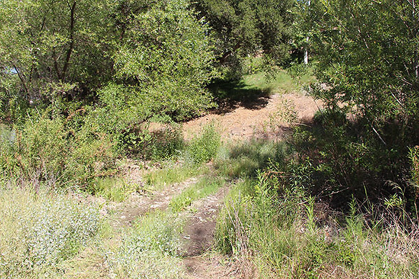 Along Creek to Main Cabin extension 007