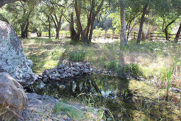 Along Creek to Main Cabin extension 026